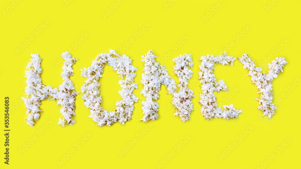 The inscription Honey is written in white flowers of lilac on a yellow background. The word Honey is written with lilac flowers. Flower inscription Honey. Background for a greeting card. Wedding