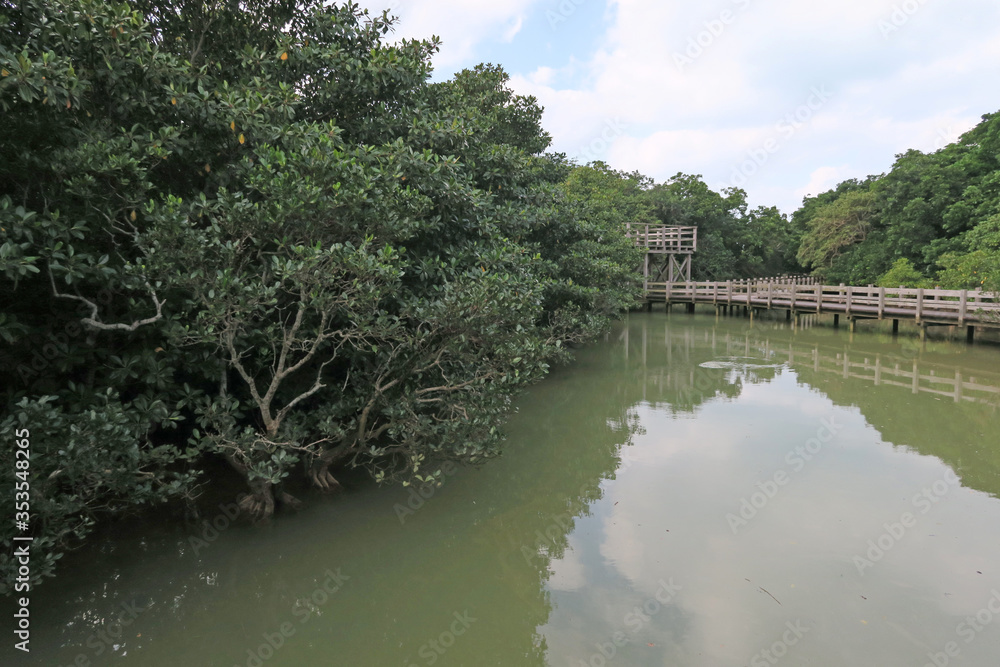 島尻マングローブ公園