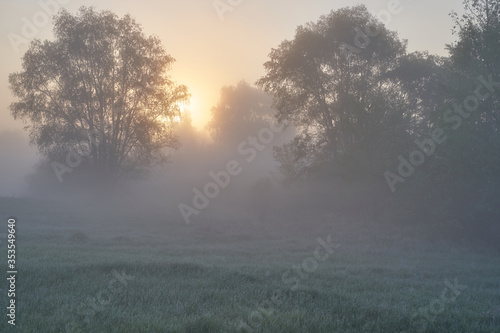 Early spring. Morning dawn over the lake in a misty  thoughtful haze. Beautiful view of the forest covered with fog early in the morning. The sun s rays of light. May.