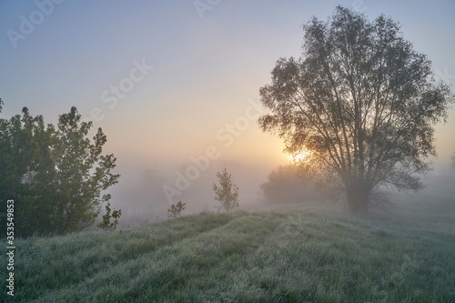 Early spring. Morning dawn over the lake in a misty, thoughtful haze. Beautiful view of the forest covered with fog early in the morning. The sun's rays of light. May.