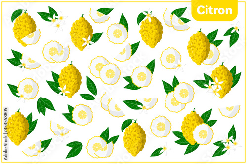 Set of vector cartoon illustrations with whole, half, cut slice Citron exotic fruits, flowers and leaves isolated on white background