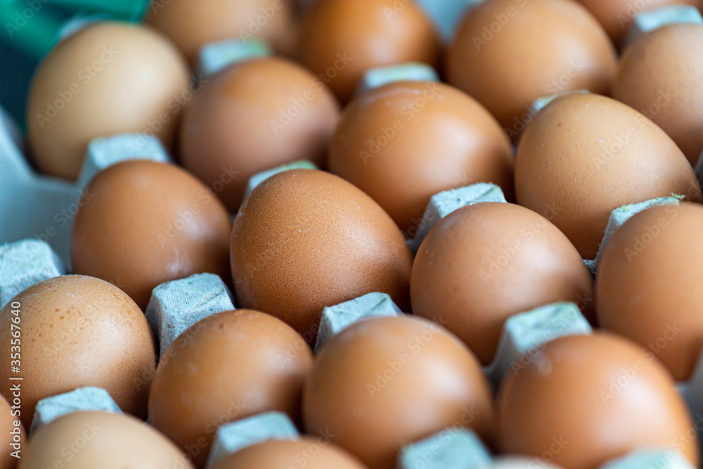 A neat row of eggs A neat row of eggs