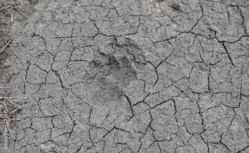 The texture of dry land is cracking due to a summer drought. Crust background