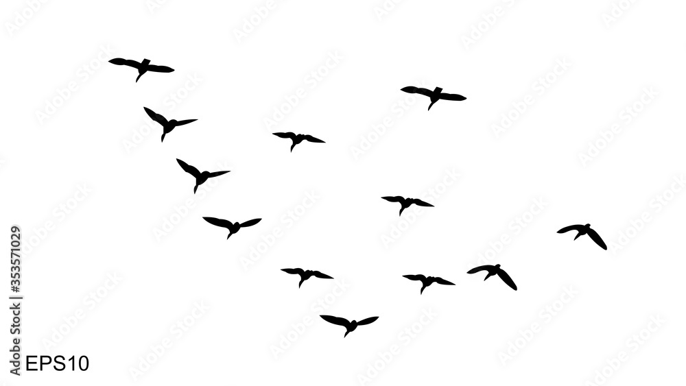 Fototapeta flocks of flying birds.silhouette style.vector illustration