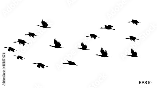 flocks of flying birds.silhouette style.vector illustration