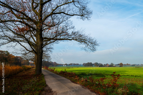 Autumn scenery at the Apeldoorns Kanaal near Eerbeek, Netherlands 
