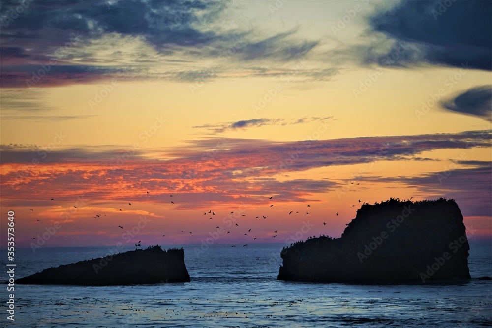 Pelicans in front of a sunset on the west coast