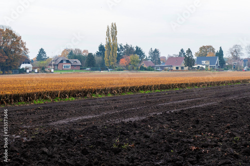 Autumn landscape near Beekbergen, Netherlands
 photo