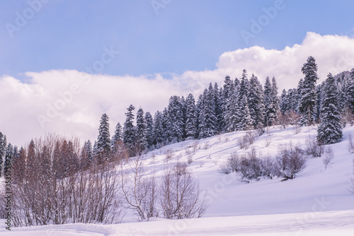 Snowy Sunny Morning In The Ski Resort