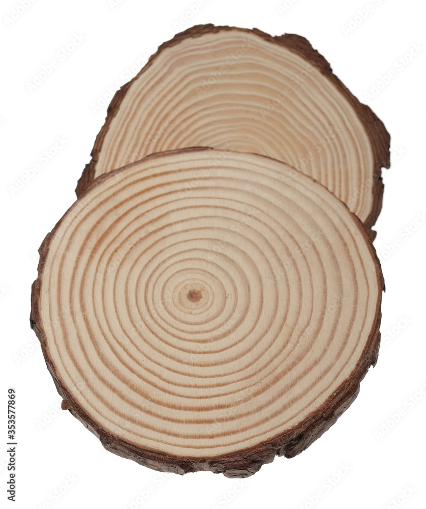 Fototapeta premium Tree trunk cross section, wooden stumps isolated on white background with clipping path
