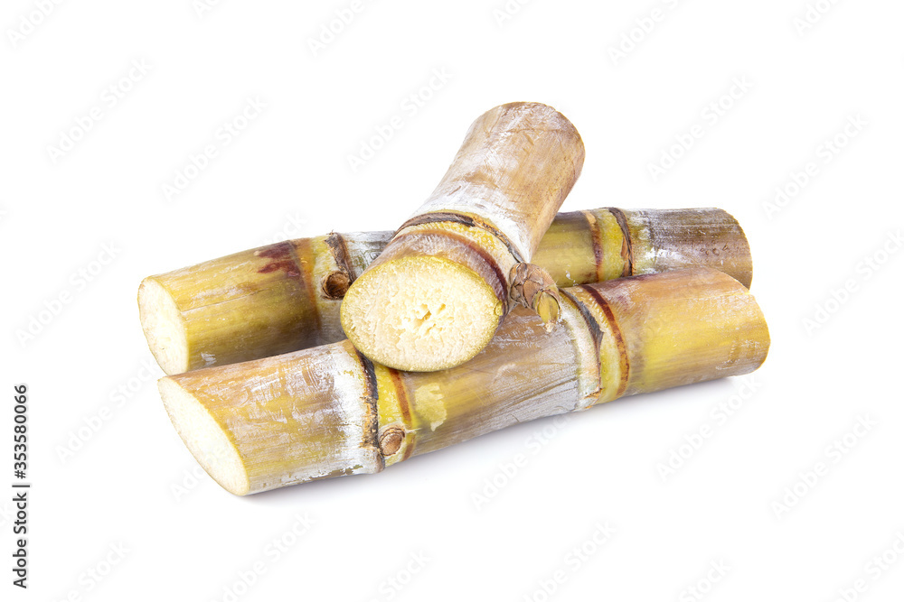 Sugarcane cut isolated on white background, Food and Dring