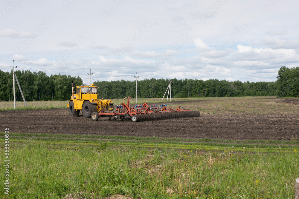 Fototapeta premium Combine harvester working on field. Field cultivation agricultural sector work