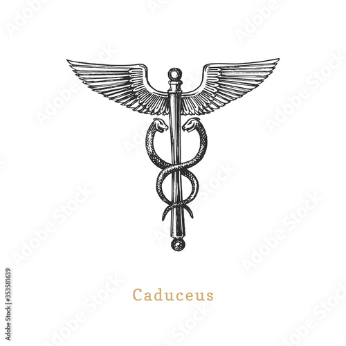 Caduceus, vector illustration in engraving style. Vintage pastiche of esoteric and occult sign. Drawn sketch.