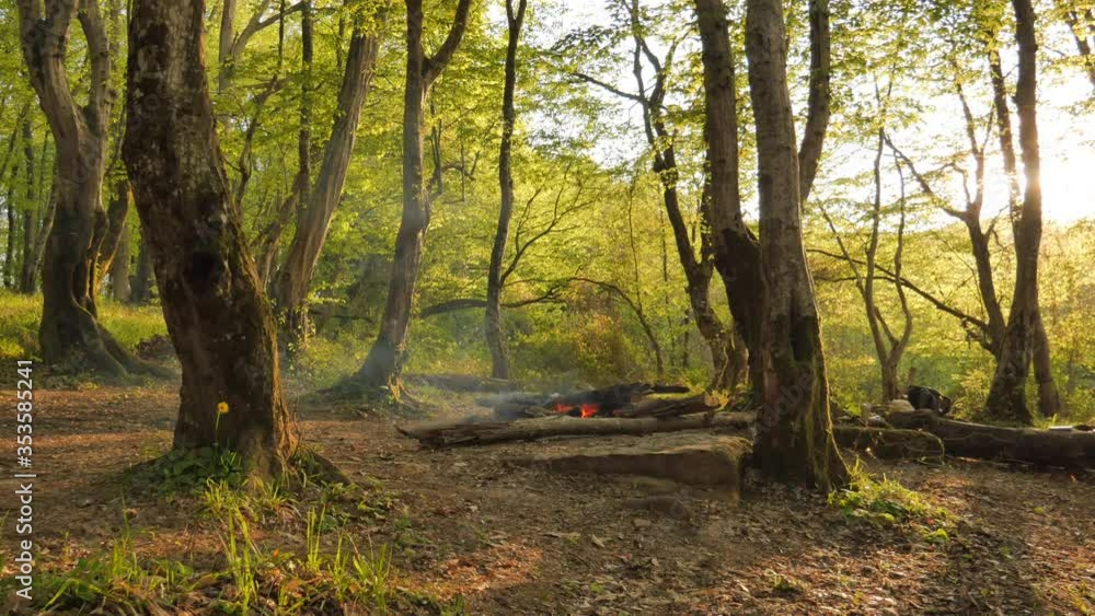 A bonfire burns in a clearing in the spring forest. Young green leaves on the trees. Evening. A bonfire burns in a clearing in the spring forest. Young green leaves on the trees. Evening.