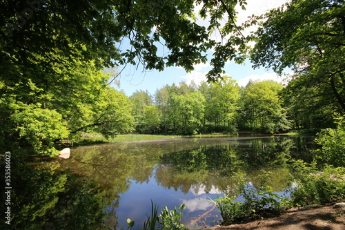 Waldteich