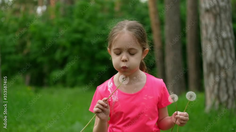 Child blows on a dandelion in a meadow. Little girl in nature in slow motion. Child blows on a dandelion in a meadow. Little girl in nature in slow motion.