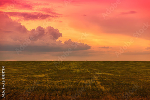 Beautiful pink sunset over a green field