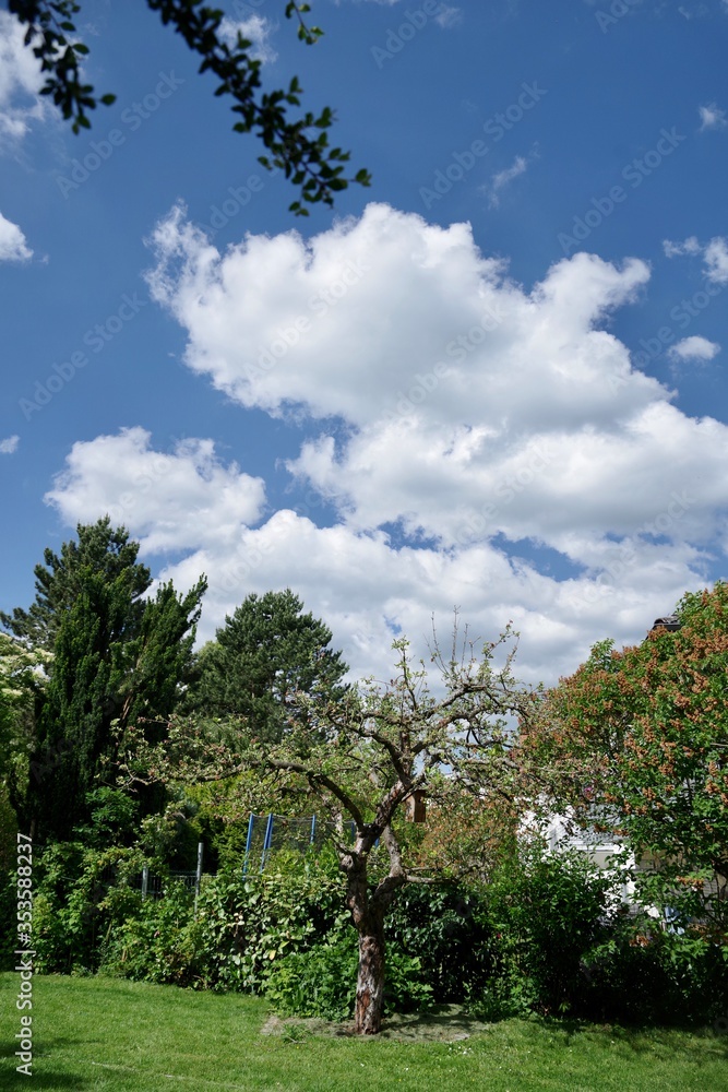 Obraz premium Gartenlandschaft