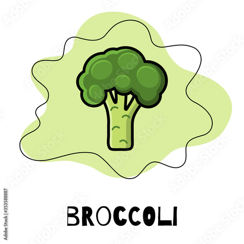 Icon of broccoli, vegetables. Modern and bright illustration of a cabbage in the flat style with text and graphic elements. Vector illustration.