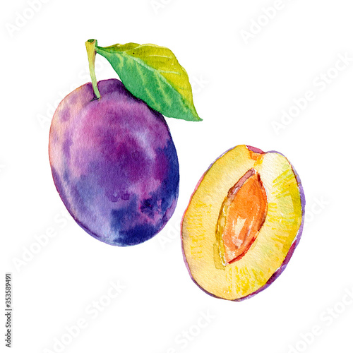 Fotografie, Obraz Watercolour ripe plum fruit illustration