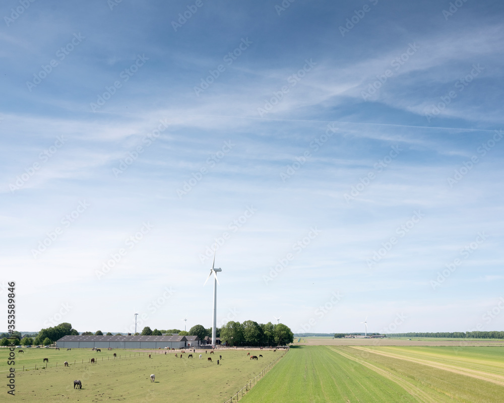 horses near farm and wind turbines in dutch province of flevoland under blue sky in spring horses near farm and wind turbines in dutch province of flevoland under blue sky in spring