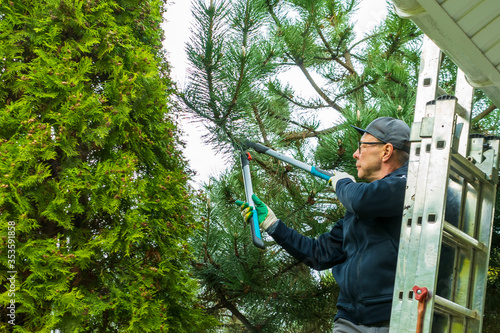 Elderly man shearing a pine with garden scissors standing on the stairs