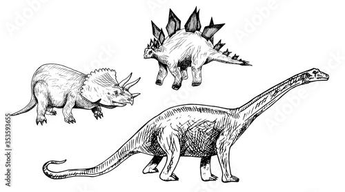 Plant-eating dinosaurs set: Triceratops, Stegosaurus, Diplodocus, hand drawn black and white doodle sketch, ink drawing illustration photo
