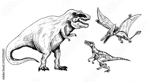 Predator dinosaurs set: Tiranosaurus, Velociraptor, Pterodactyl, hand drawn black and white doodle sketch, ink drawing illustration