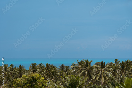 Plantations of coconut palm trees, sea and blue sky on a tropical island