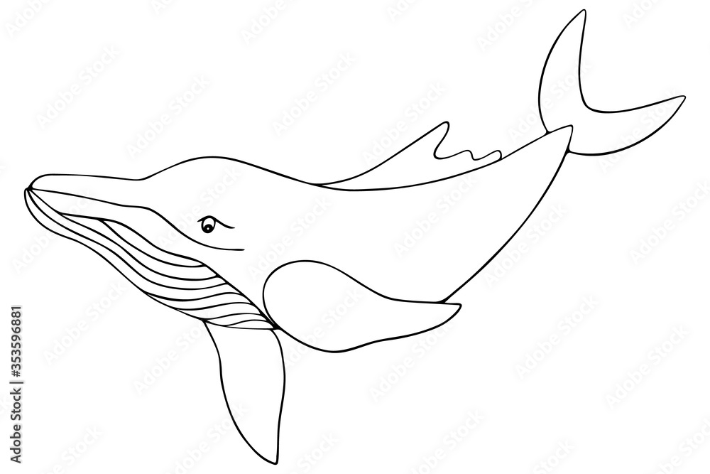 Whale. Vector illustration. Outline on a white isolated background. Plankton marine mammal. Inhabitant of the ocean. Hand drawing style. Sketch. Coloring book for children and adults. Idea for book. Whale. Vector illustration. Outline on a white isolated background. Plankton marine mammal. Inhabitant of the ocean. Hand drawing style. Sketch. Coloring book for children and adults. Idea for book.