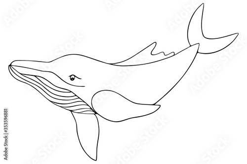 Whale. Vector illustration. Outline on a white isolated background. Plankton marine mammal. Inhabitant of the ocean. Hand drawing style. Sketch. Coloring book for children and adults. Idea for book.