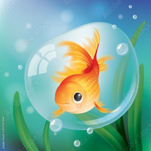 Goldfish in a bubble