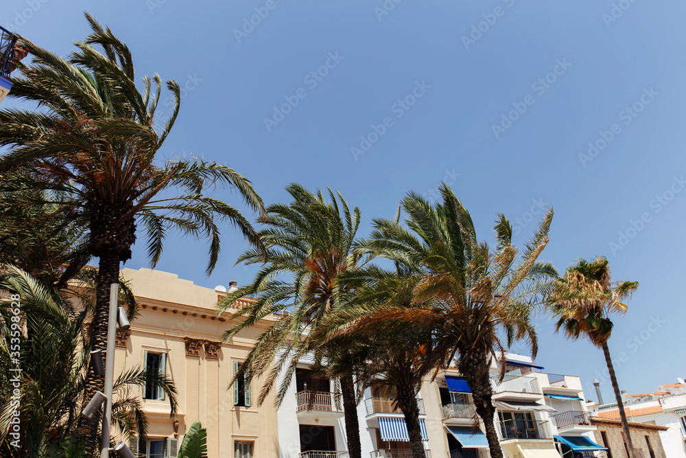 Palm trees on street with houses and blue sky at background in Catalonia, Spain