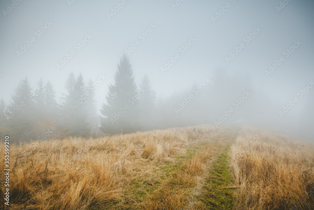 Beautiful moody landscape of the foggy field. Location place Carpathian mountains, Ukraine, Europe.
