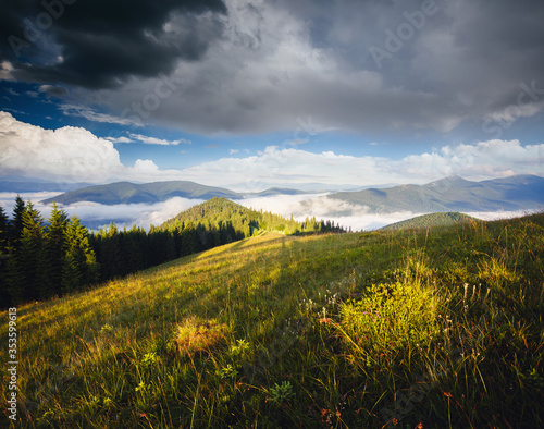 Splendid countryside landscape in the morning light. Location place Carpathian mountains  Ukraine  Europe.