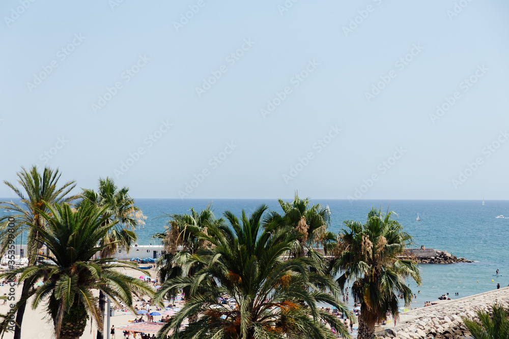 Palm trees and sea coast with blue sky at background in Catalonia, Spain