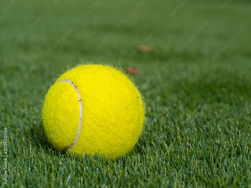 A Yellow tennis ball on green grass in a backyard during lockdown