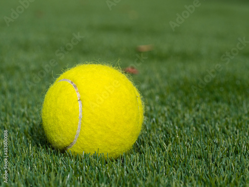 A Yellow tennis ball on green grass in a backyard during lockdown