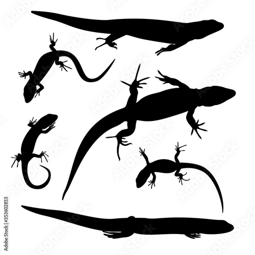 The black silhouettes of three adult and three young lizards are isolated on white background.