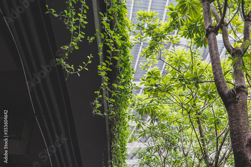 Indoor park in a shopping mall