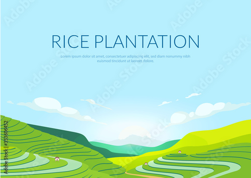 Terraced plantation poster flat vector template. Chinese rice fields. Tea plantations. Brochure, booklet one page concept design with illustration. Agricultural paddy slopes flyer, leaflet
