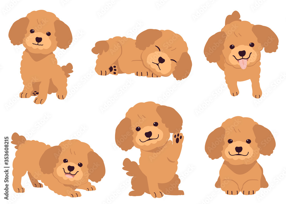The collection of poodle in many action. Graphic resource about set of dogs poodle for graphic, content, etc. 