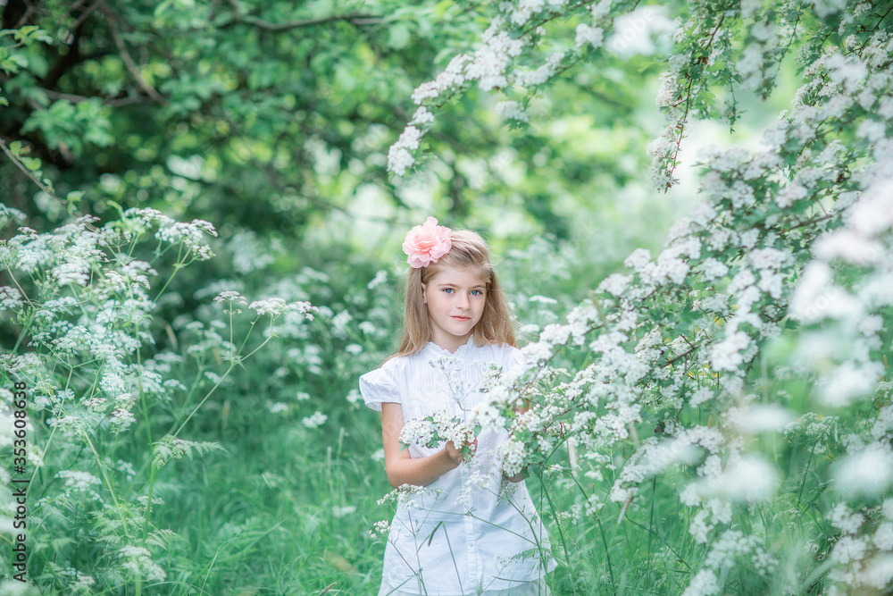 Naklejka premium A 8 year old girl in a white dress with a pink flower in her hair in a green meadow with Apple trees in bloom