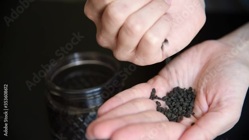 Woman sprinkle bakuchiol seeds in hands, close up. photo