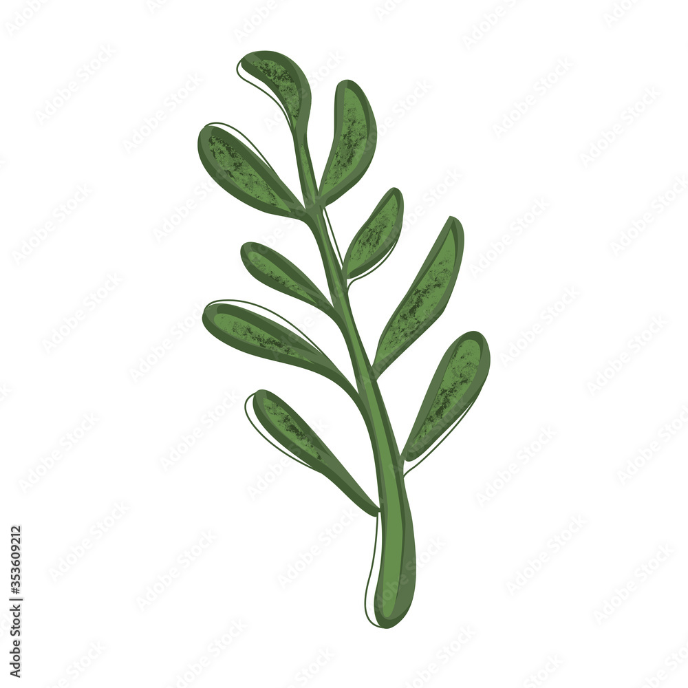 Young green plant with leaves texture vector image