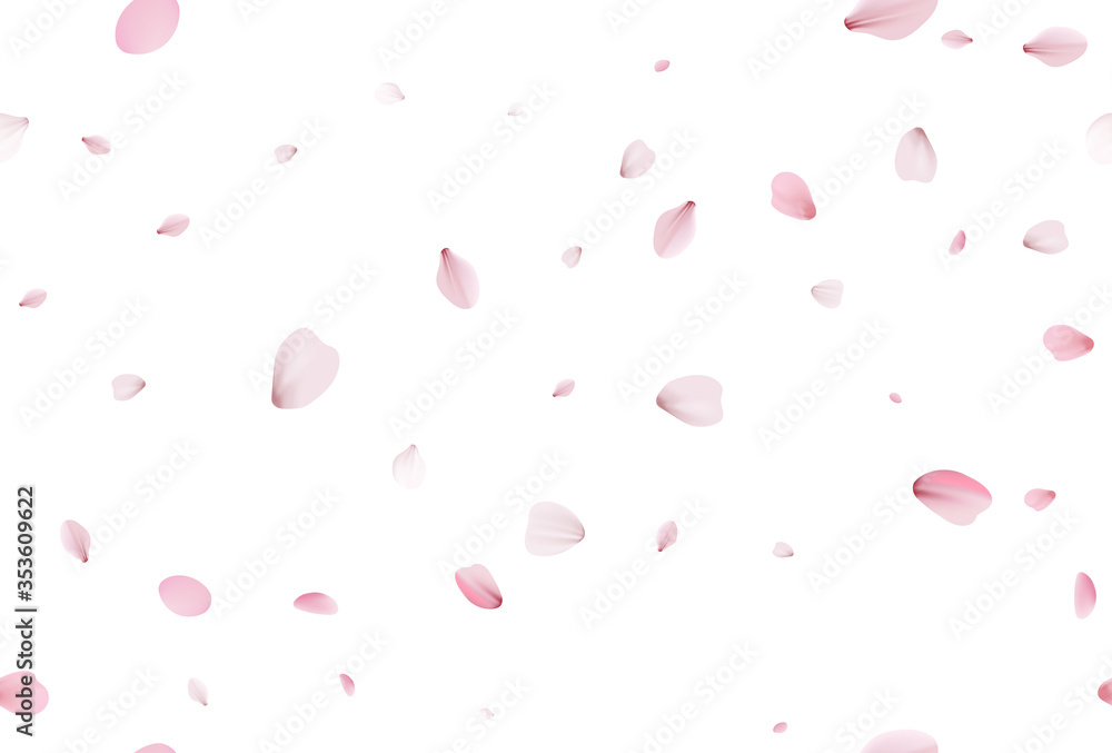 Seamless sakura petals. Falling realistic cherry petals