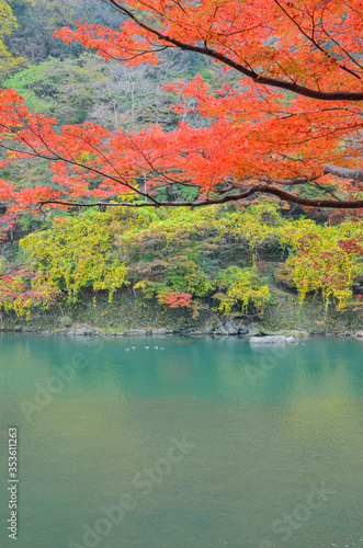 京都の嵐山の保津川