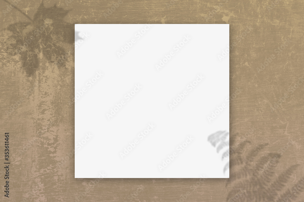 Brown Concrete Texture Background with free space for photo or text or etc. empty for text promotion product you'll love it! Brown Concrete Texture Background with free space for photo or text or etc. empty for text promotion product you'll love it!