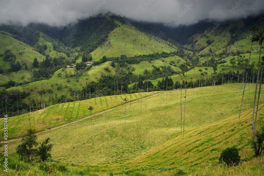 Cocora valley, Salento, Colombia, South America