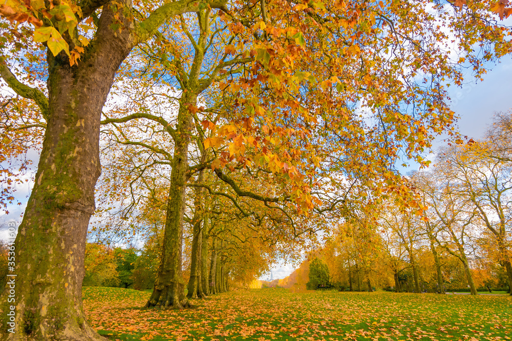 Beautiful Kensington Gardens the Royal Parks for walked and relaxed, London